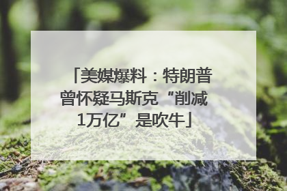 美媒爆料：特朗普曾怀疑马斯克“削减1万亿”是吹牛